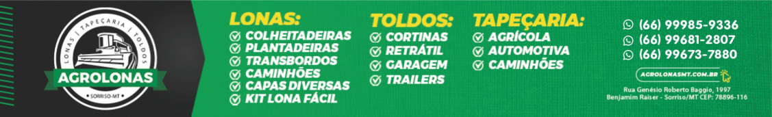 Topo