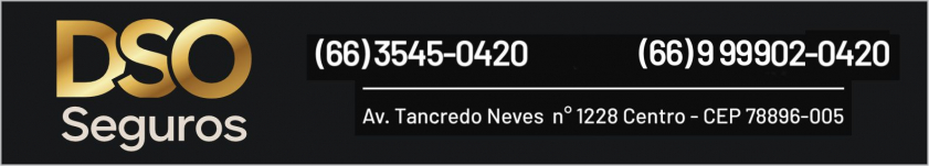 Seguros DSO