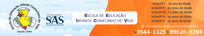 Escola de Educação Infantil Comecinho de Vida