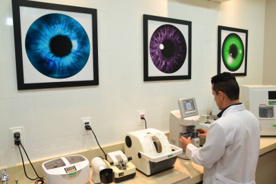 Galeria