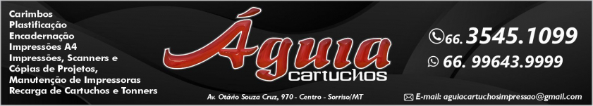 Águia Cartuchos - Carimbos - Impressões de Projetos