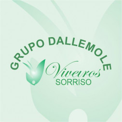viveiro-sorriso