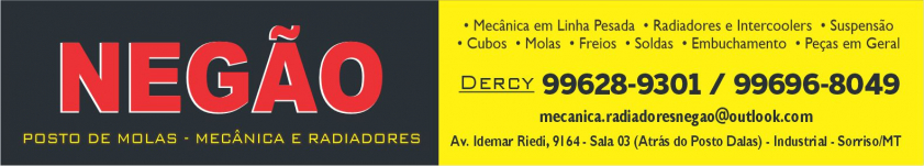 Posto de Molas Mecânica e Radiadores Negão