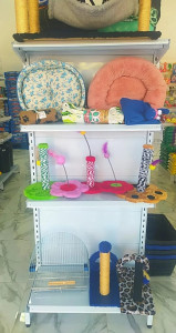 Galeria
