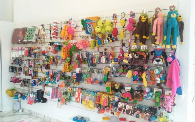 Galeria