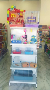 Galeria