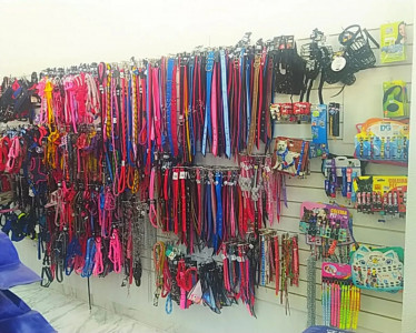 Galeria
